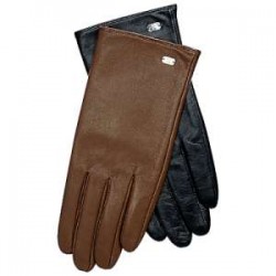 Dressing Gloves