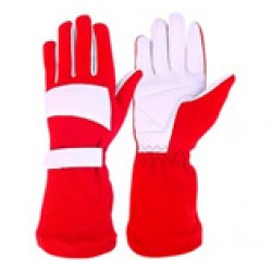 Nomex Gloves